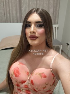 Транс Алматы Транс№493558 Асу Фотография №3852275